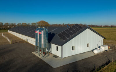 How Much Does It Cost to Dry Grain? And How Using Solar Energy can be a Money-saving Solution.